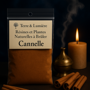 cannelle, plante à brûler, encens naturel, épice sacrée, purification, prospérité, protection, énergie vitale, passion, motivation, encens artisanal, Terre & Lumière, artisanat spirituel, plantes séchées, rituels d’abondance