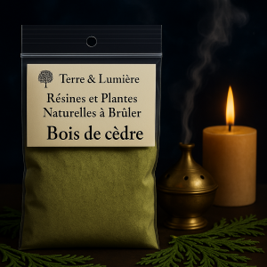 bois de cèdre, cèdre poudre, plante à brûler, encens naturel, purification, protection, ancrage, méditation, encens artisanal, Terre & Lumière, artisanat spirituel, bois sacré, fumigation, nettoyage énergétique
