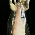Sanctuaire de Santal : Ancrage, Sagesse & Paix spirituelle