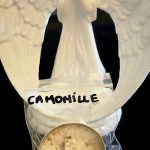 « flamme » Camomille (lot de 3)